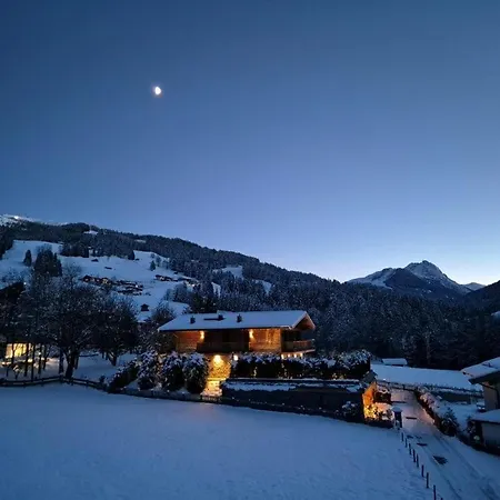Apartment Alpengruss Kirchberg in Tirol